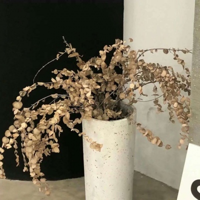 Furry二次元插画创作技巧兽圈社群